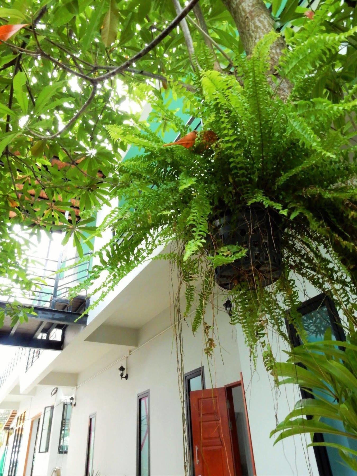 Wandee Bed & Breakfast Khao Lak Exterior photo